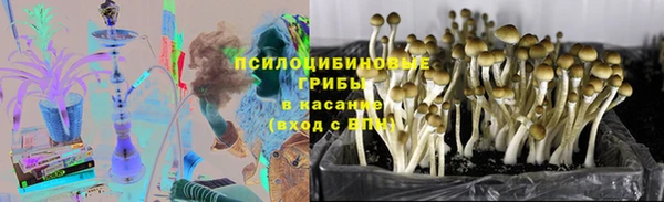 шишки Балабаново