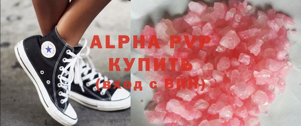 хмурый Пересвет