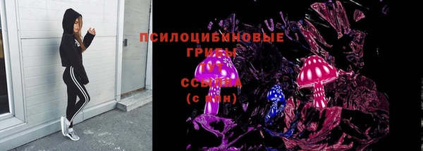 шишки Балабаново