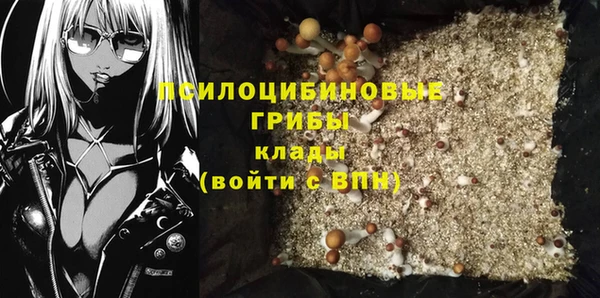 шишки Балахна