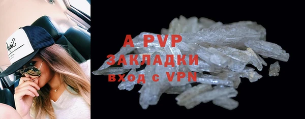 хмурый Пересвет