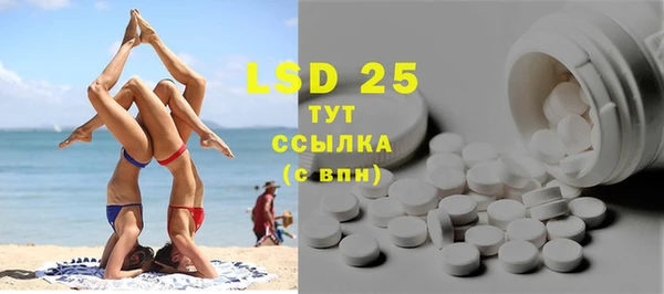 хмурый Пересвет