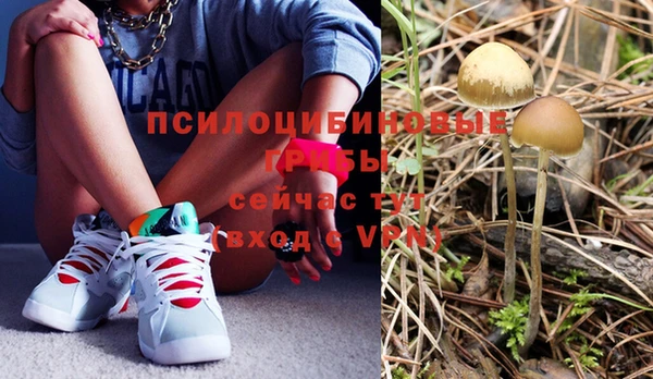 хмурый Пересвет