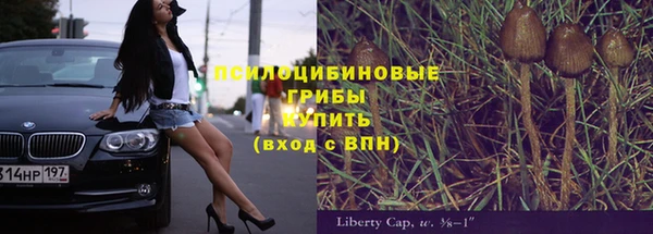 шишки Балахна