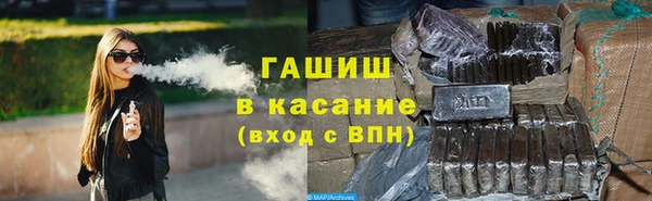 хмурый Пересвет