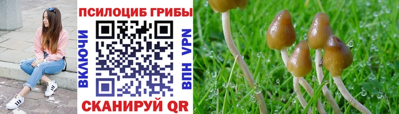 Псилоцибиновые грибы ЛСД  Ядрин 